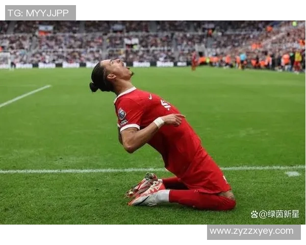 努涅斯：从新星崛起到足球巨星的成长之路与未来展望